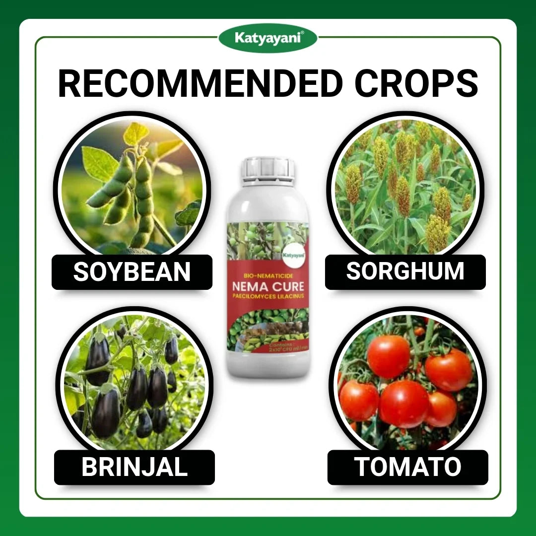 Katyayani Nema Cure | Paecilomyces Lilacinus Liquid | Cauliflower Pesticides & Cotton Pest Control 