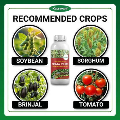 Katyayani Nema Cure | Paecilomyces Lilacinus Liquid | Cauliflower Pesticides & Cotton Pest Control 