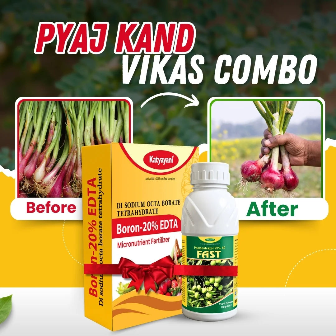 Katyayani Onion - Pyaj Kand Vikas Combo | Onion bulb growth booster 