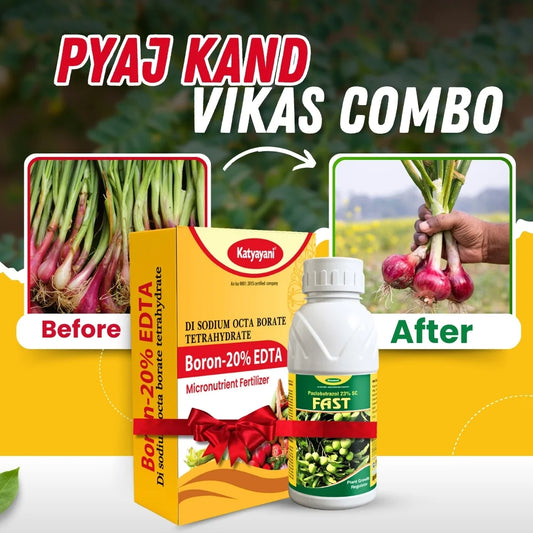 Katyayani Onion - Pyaj Kand Vikas Combo | Onion bulb growth booster 