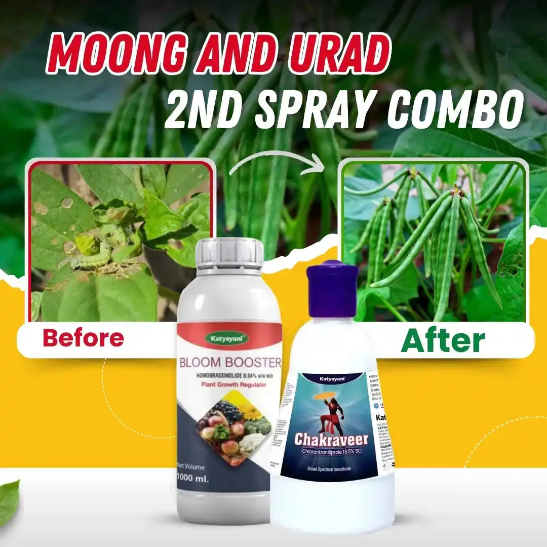 Katyayani Moong and Urad 2nd Spray combo