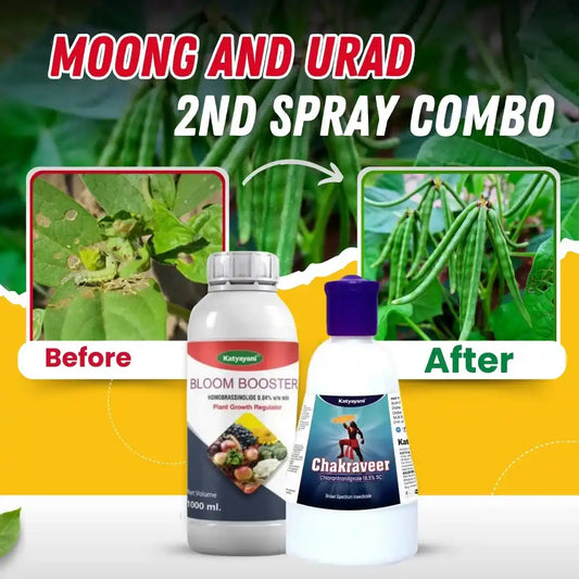 Katyayani Moong and Urad 2nd Spray combo