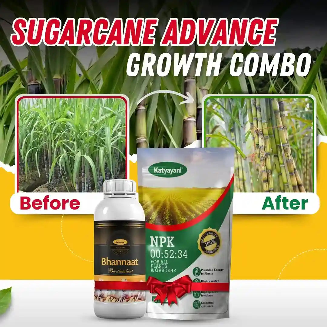 Buy Katyayani Sugarcane Advance Growth Combo! Upto 50% OFF