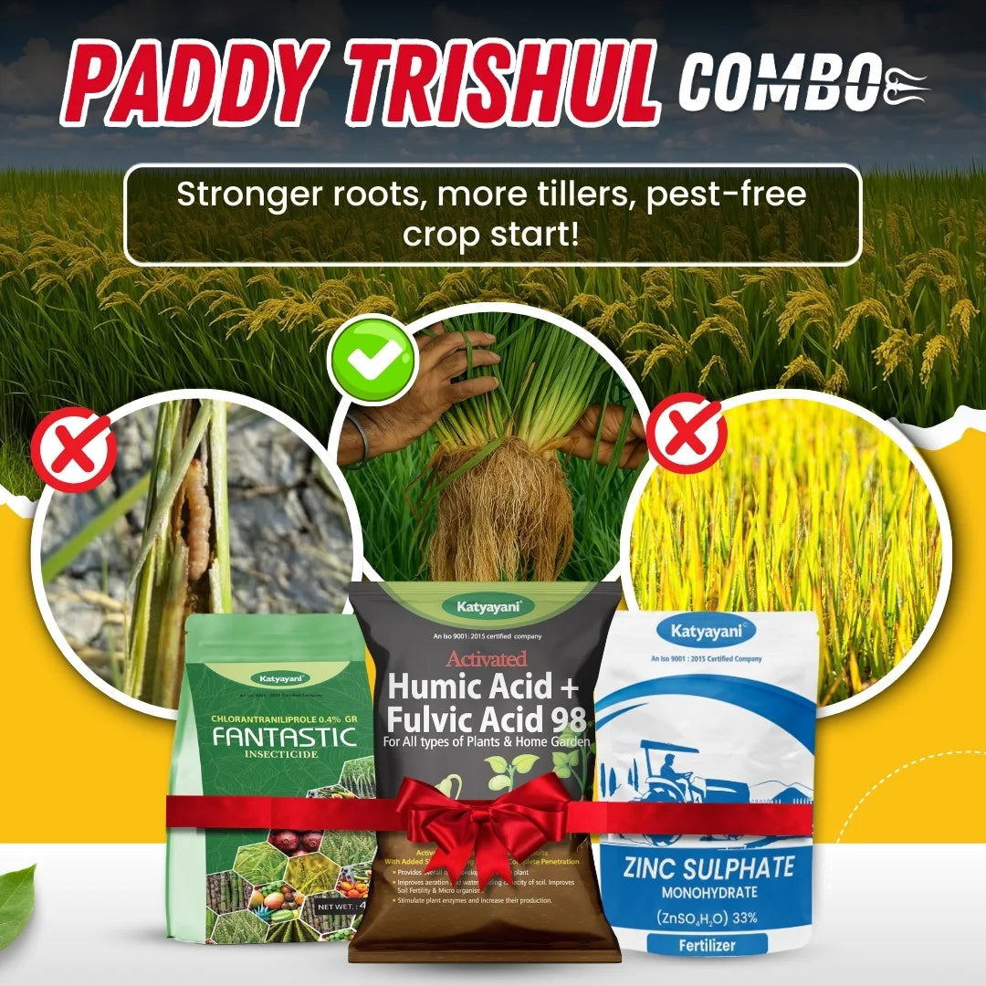 Katyayani Paddy Trishul Combo | Best for Root Growth & High Tillers 
