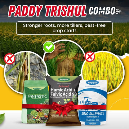 Katyayani Paddy Trishul Combo | Best for Root Growth & High Tillers 