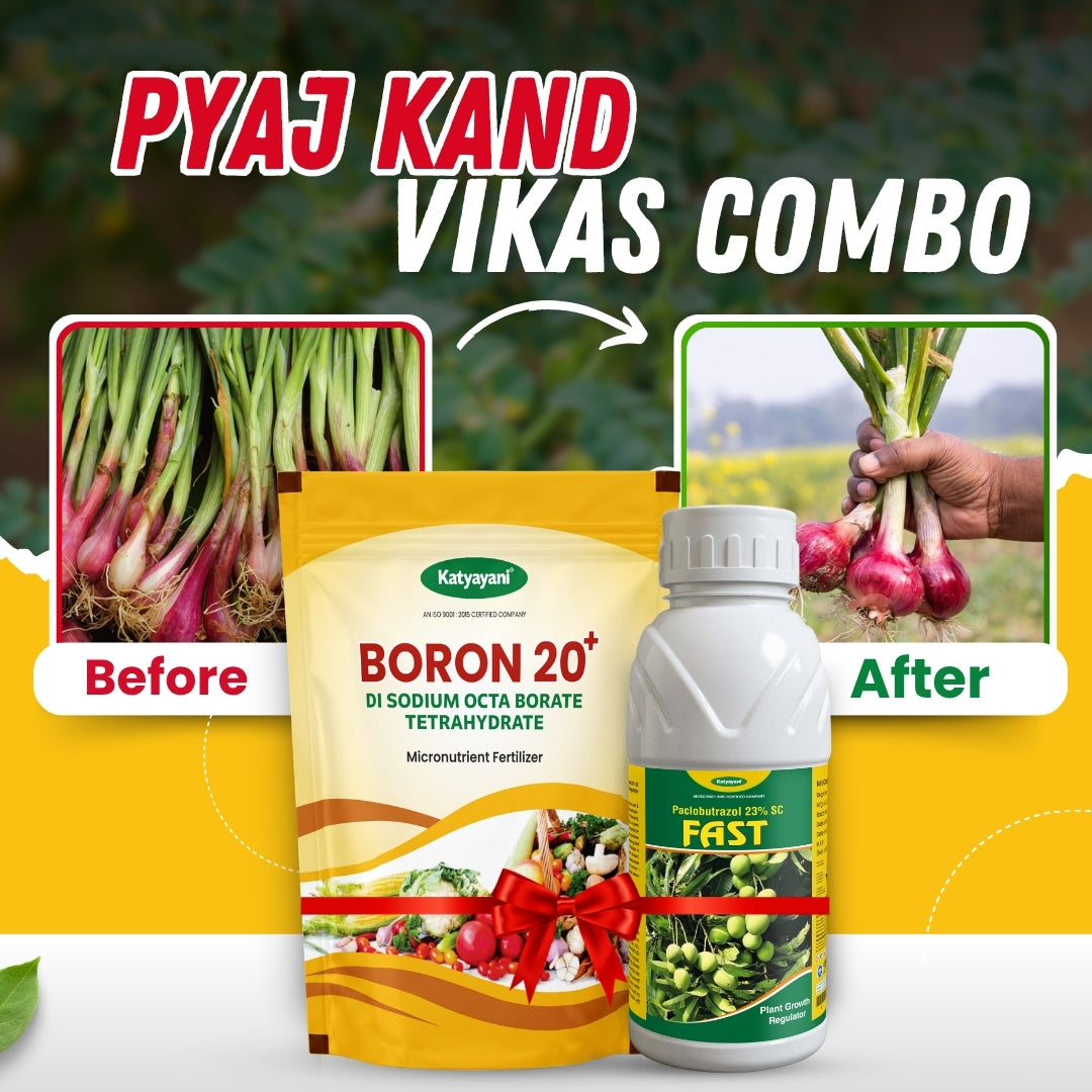 Katyayani Onion - Pyaj Kand Vikas Combo | Onion bulb growth booster 