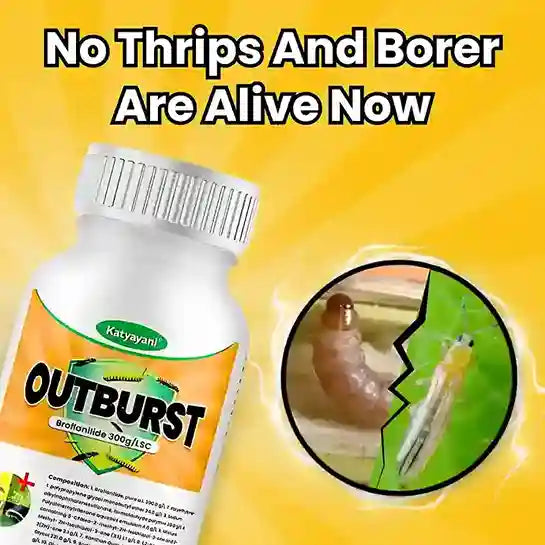 Katyayani OUTBURST Broflanilide 300 G/L SC Insecticide for borer control 
