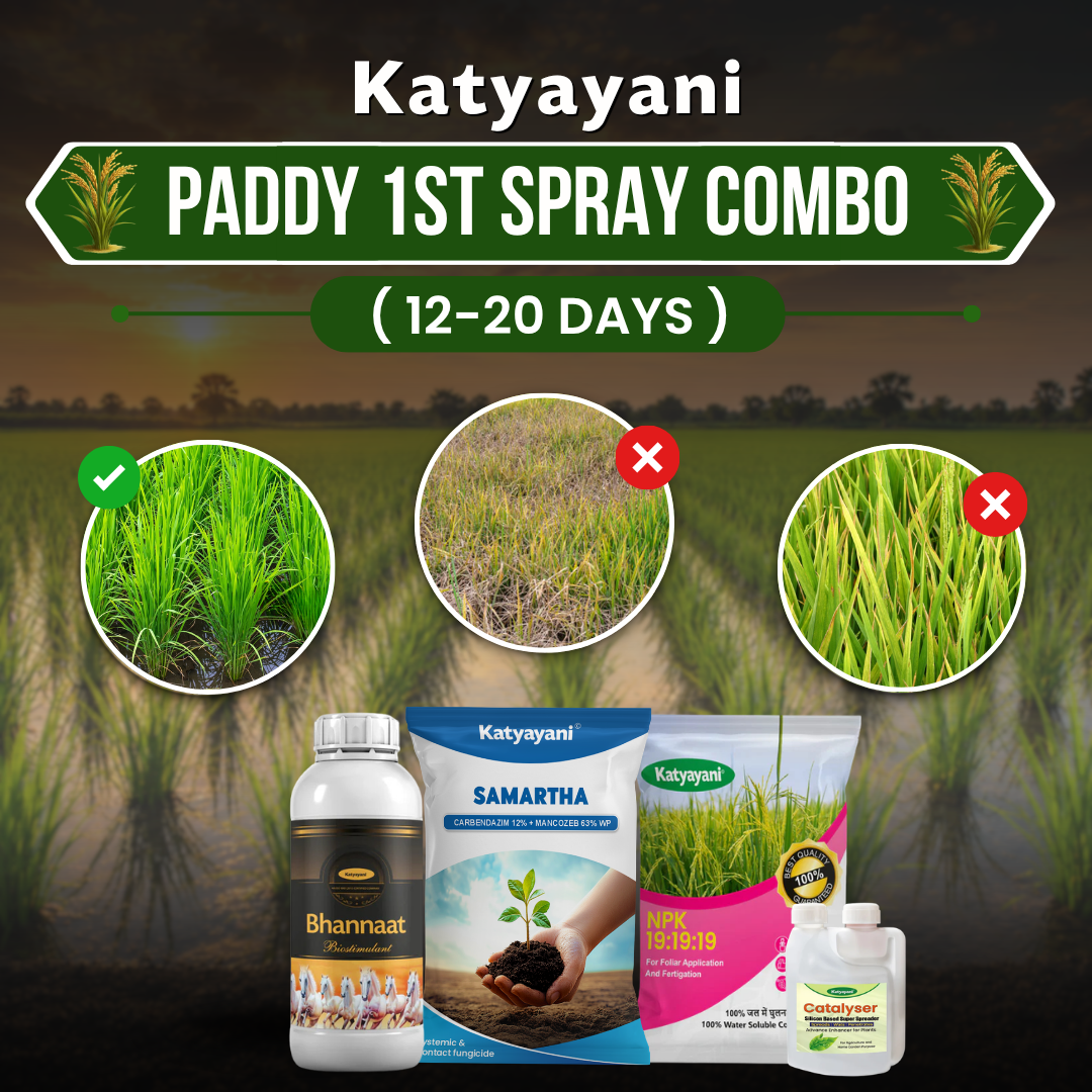 Paddy 1st Spray Combo (12–20 Days) 