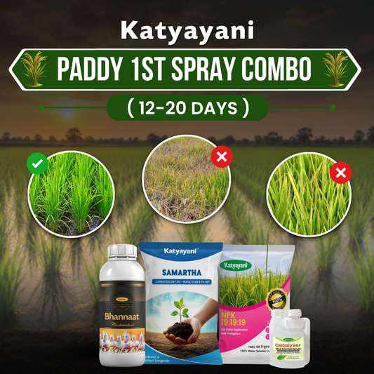 Paddy 1st Spray Combo (12–20 Days) 