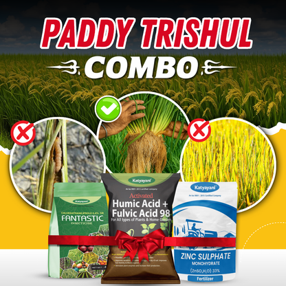 Katyayani Paddy Trishul Combo | Best for Root Growth & High Tillers 