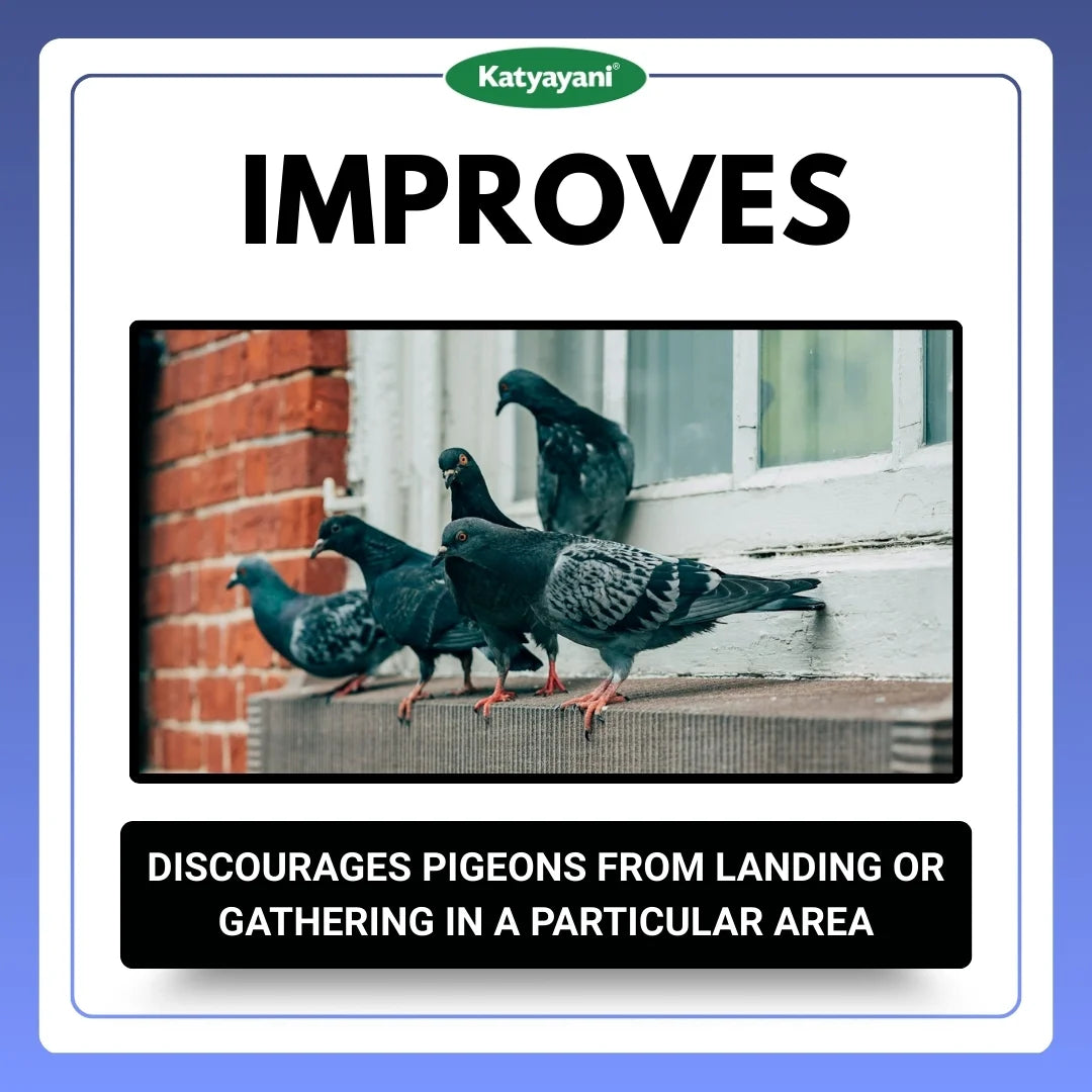 Katyayani pigeon Repellent 