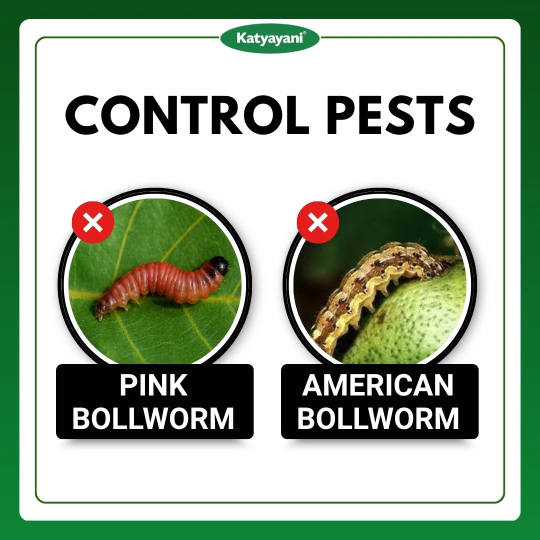 Katyayani Propcyp | Profenofos 40% + Cypermethrin 4% EC | Chemical Insecticide 