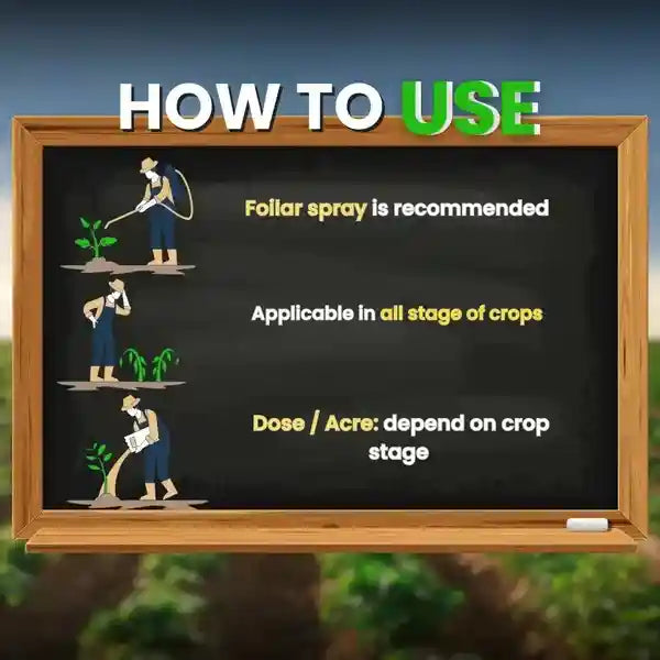 Seaweed extract dose
