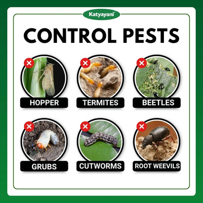 Katyayani Metarhizium Anisopliae | Powder Bio Insecticide 