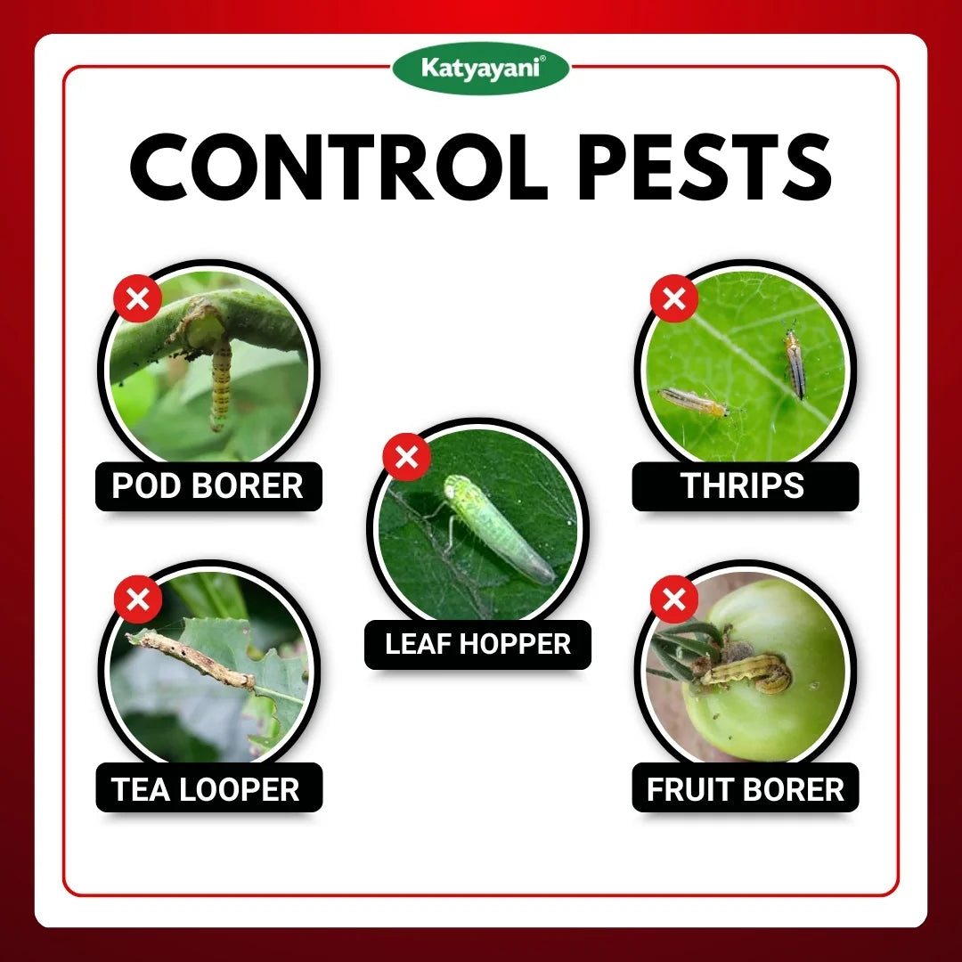 KATYAYANI EMATHIO | EMAMECTIN BENZOATE 3% + THIAMETHOXAM 12% WG | CHEMICAL INSECTICIDE 