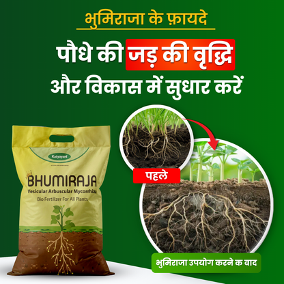 Katyayani Bhumiraja (Mycorrhiza Fertilizer) | Best For Root Growth 