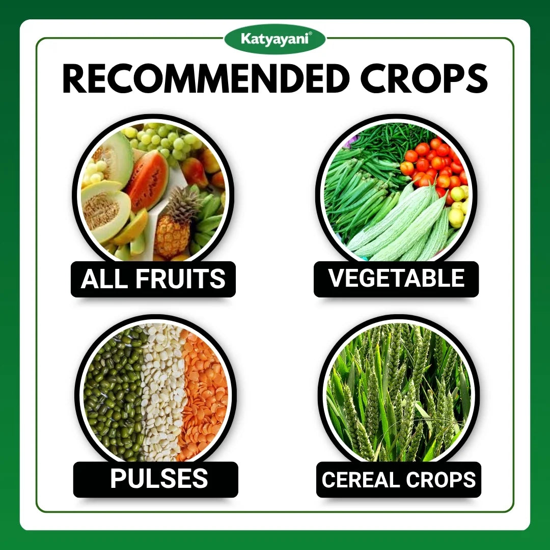 Katyayani Metarhizium Anisopliae | Powder Bio Insecticide 