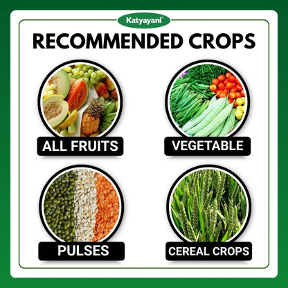 Katyayani Metarhizium Anisopliae | Powder Bio Insecticide 