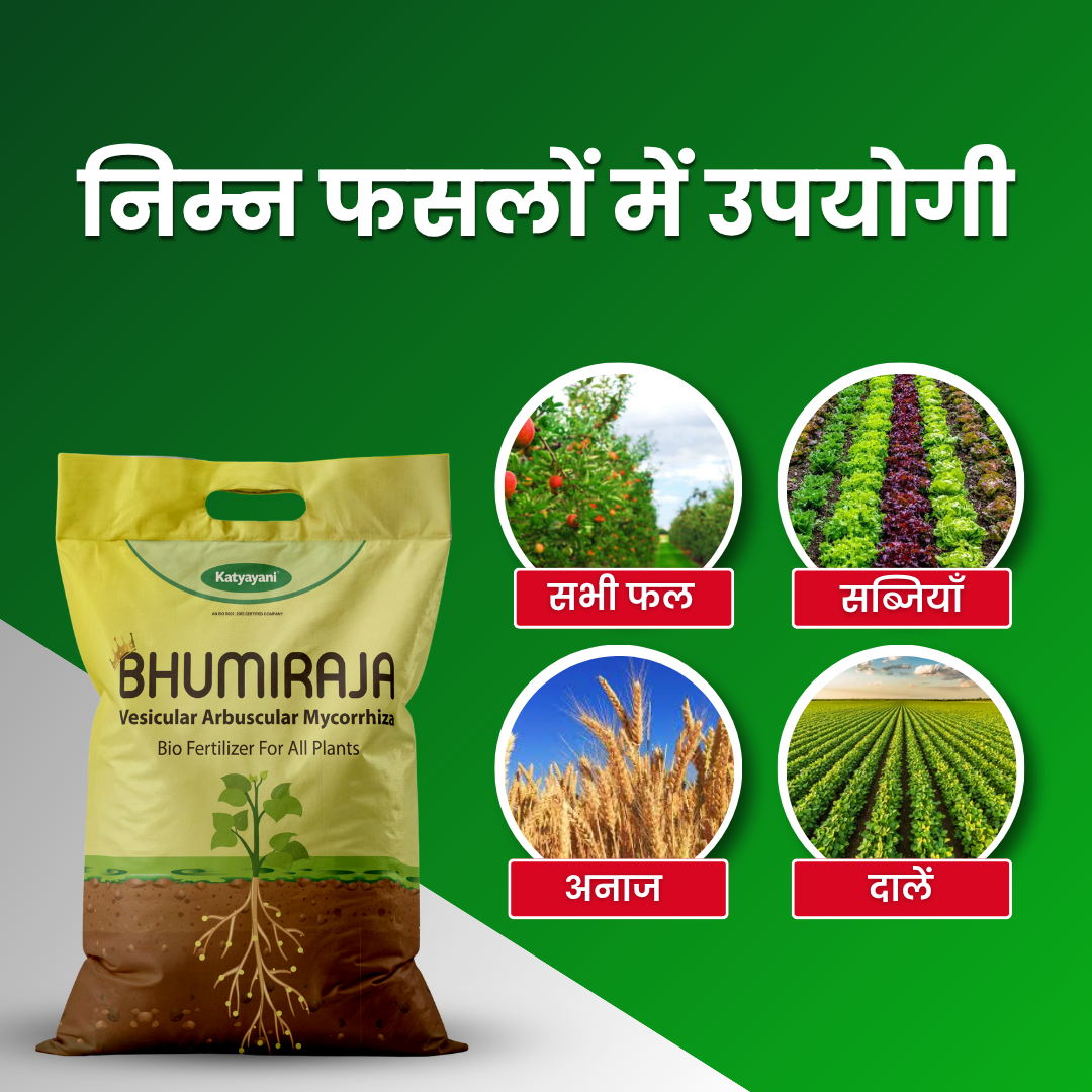 Katyayani Bhumiraja (Mycorrhiza Fertilizer) | Best For Root Growth 