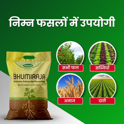 Katyayani Bhumiraja (Mycorrhiza Fertilizer) | Best For Root Growth 