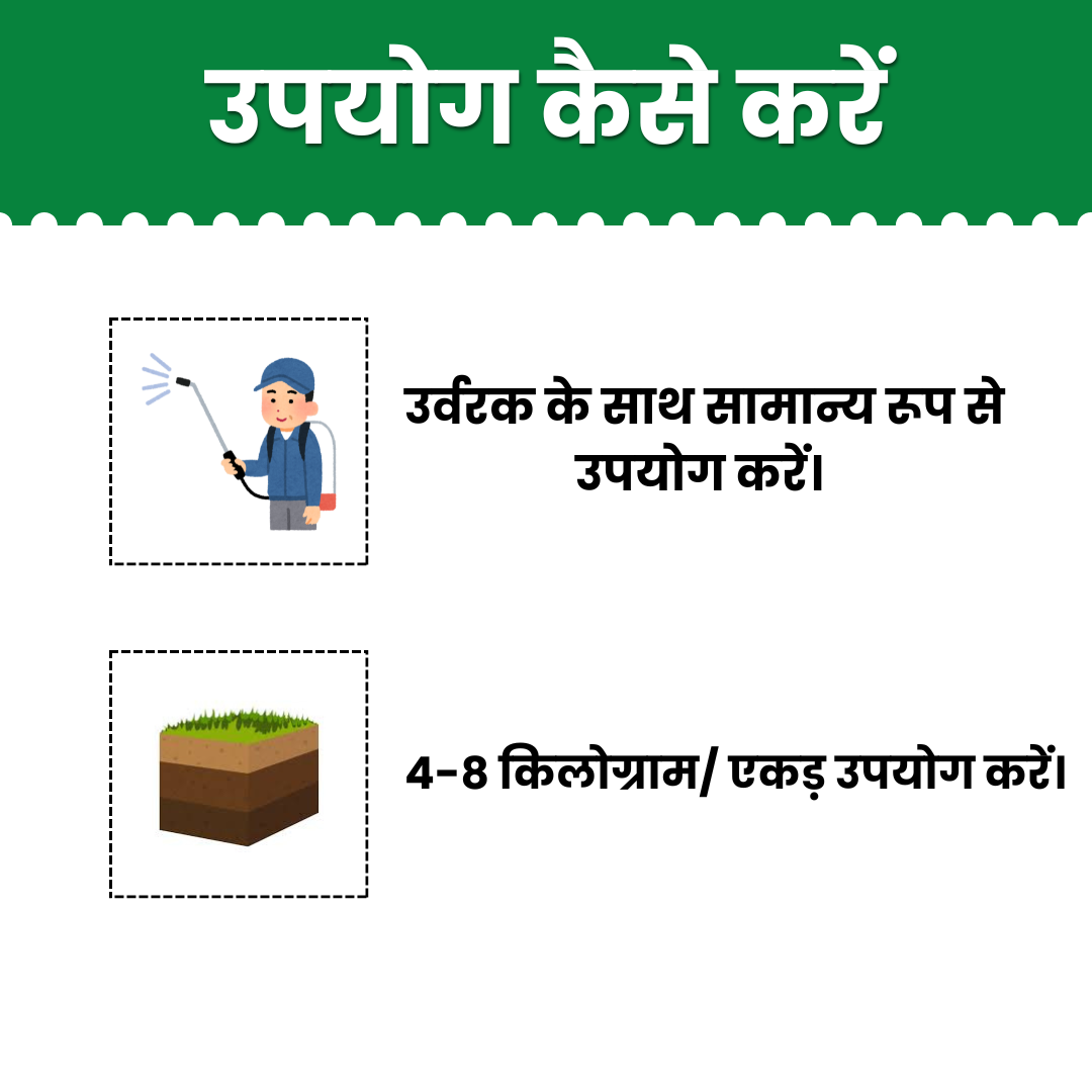 Katyayani Bhumiraja (Mycorrhiza Fertilizer) | Best For Root Growth 