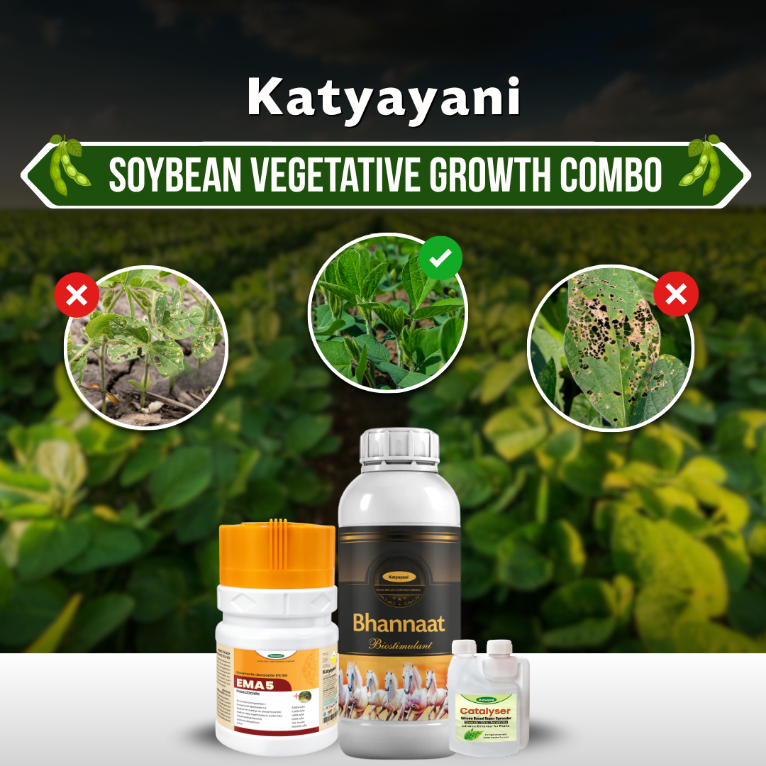 Katyayani Soybean Vegetative Growth Combo 