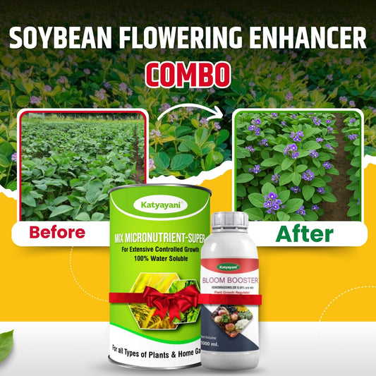 Soybean Flowering Enhancer Combo