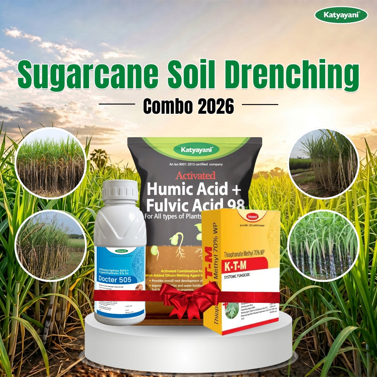 Katyayani Sugarcane Soil Drenching Combo 2026 
