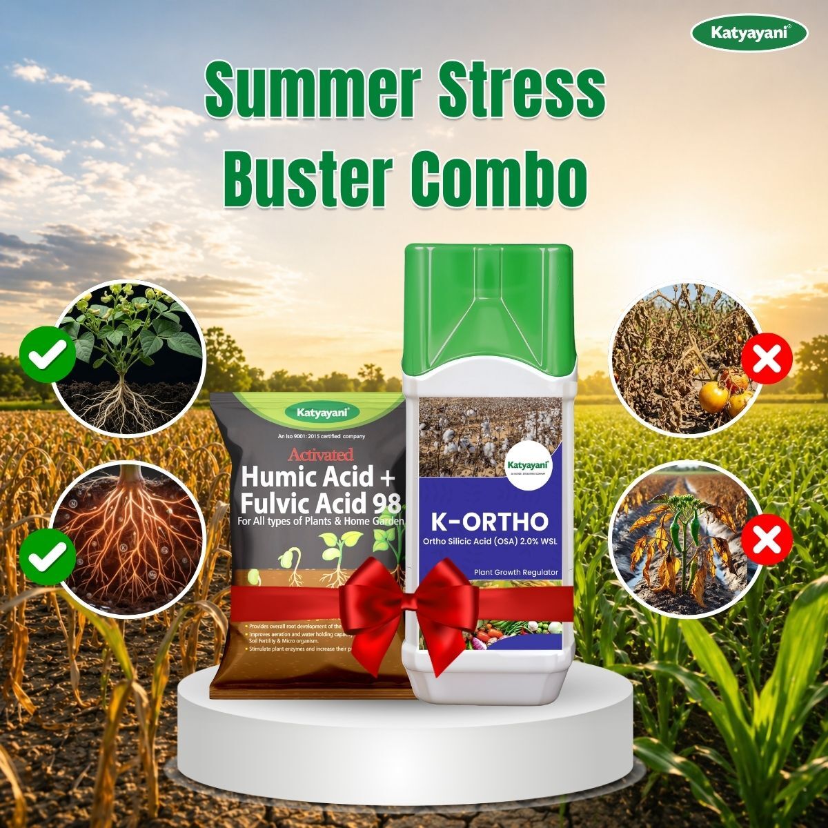 Katyayani Summer Stress Buster Combo