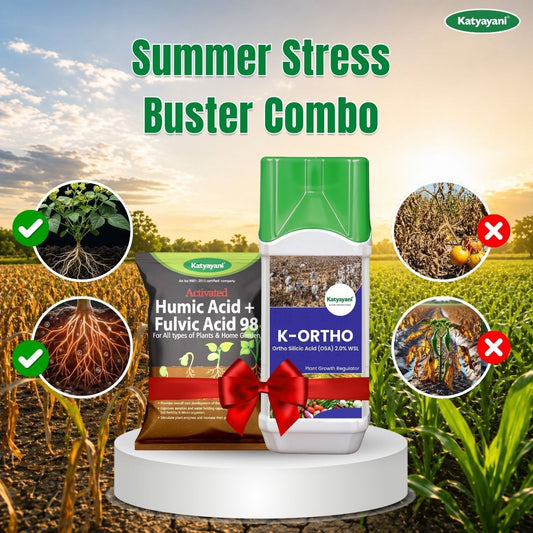 Katyayani Summer Stress Buster Combo 