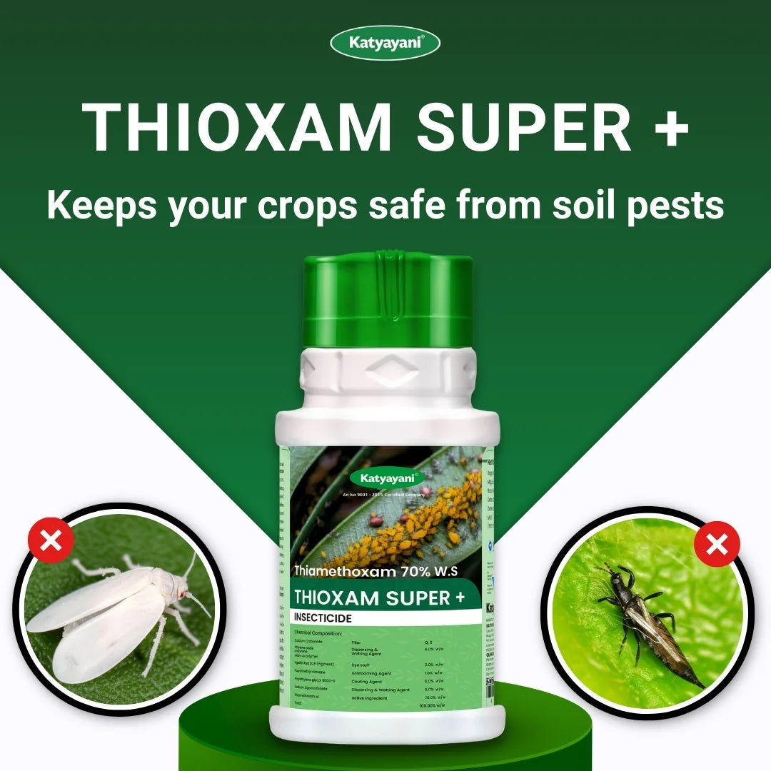 Katyayani Thioxam Super plus | 70% thiamethoxam | Chemical Insecticide 