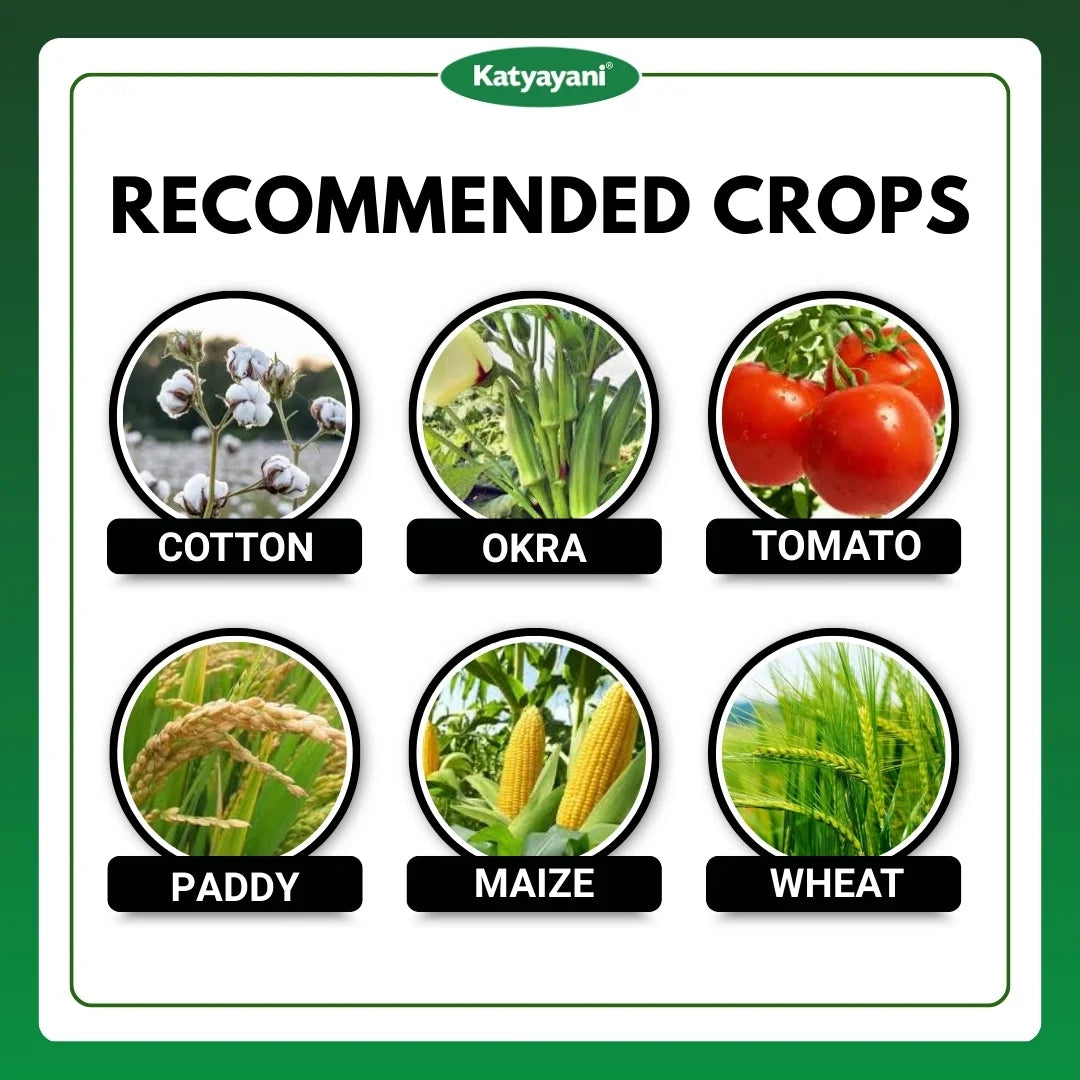 Katyayani Thioxam Super plus | 70% thiamethoxam | Chemical Insecticide 