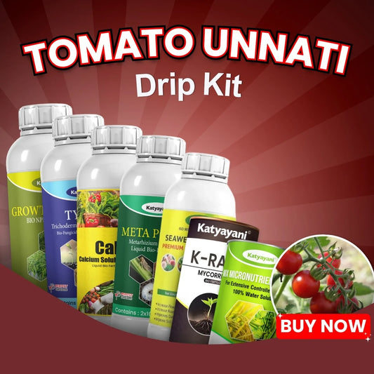 Katyayani Tomato Unnati Drip Kit - Fruit Size & Color
