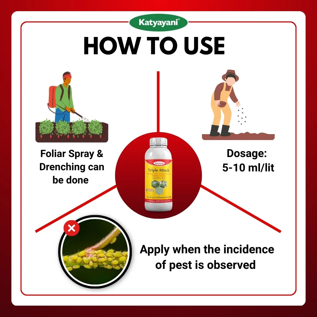 Katyayani Triple Attack Liquid Bio-Insecticide | Verticillium lecanii + Beauveria bassiana + Metarhizium anisopliae 