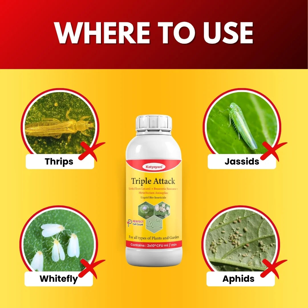 Buy Katyayani Triple Attack Bio Pesticide Online at Best Price