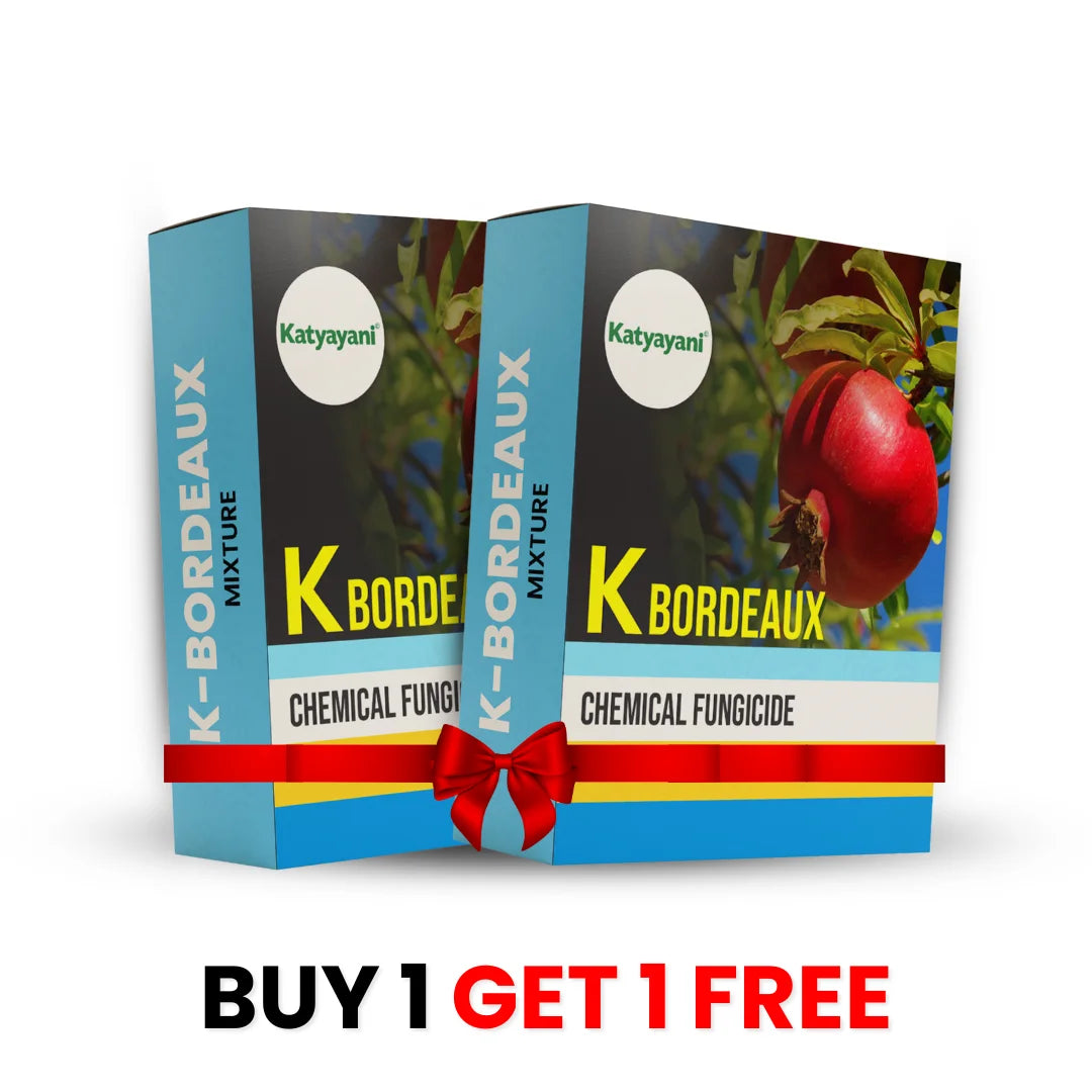 KATYAYANI BORDEAUX MIXTURE | CHEMICAL FUNGICIDE (1+1 Free)