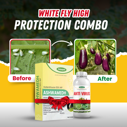 Katyayani Whitefly High Protection Combo | All In One Solution For Whitefly Treatment 