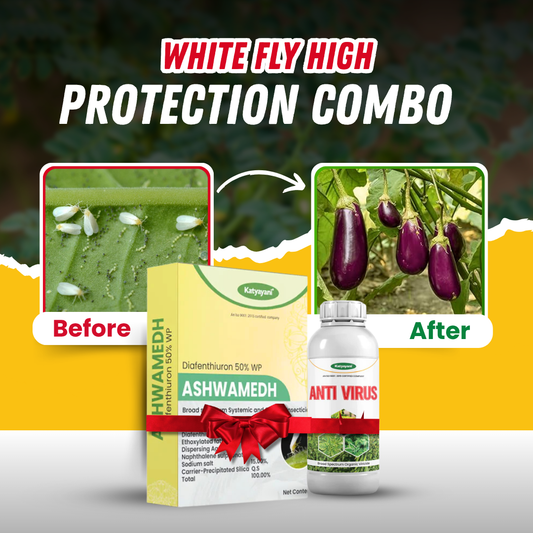 Katyayani Whitefly High Protection Combo | All In One Solution For Whitefly Treatment 