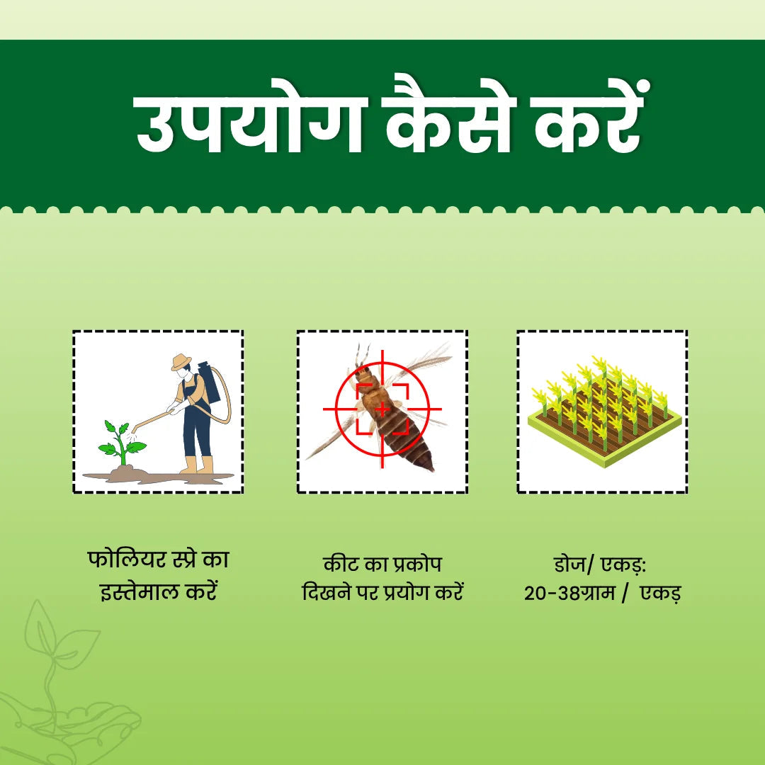 Katyayani Joker Fipronil 80% WG Chemical Insecticide dosage