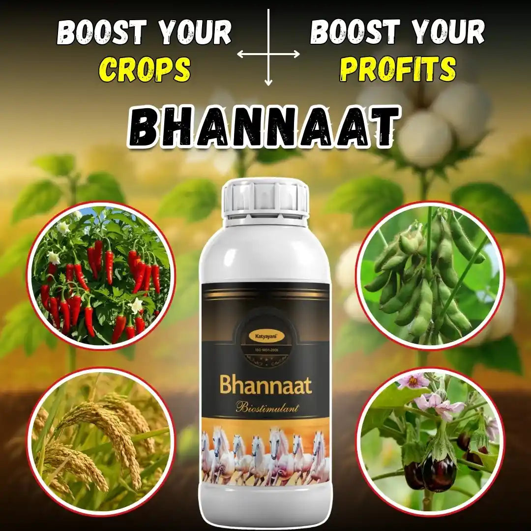 Katyayani Bhannaat | Plant Growth Regulator