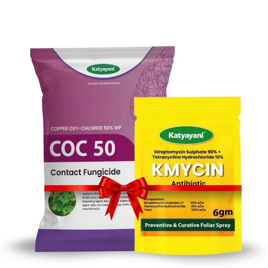 Katyayani Anti Bacterial Kit (KMYCIN (6 GM x 2) + COC 50 (500 GM) 