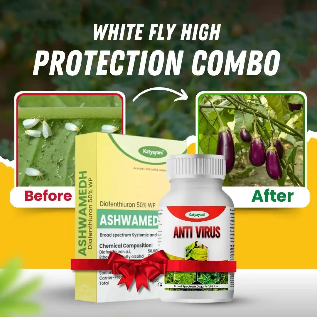 Katyayani Whitefly High Protection Combo