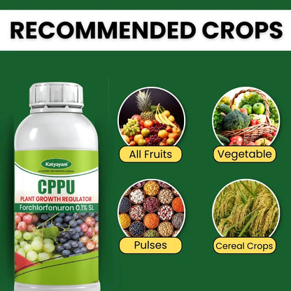 Katyayani CPPU | Forchlorfenuron 0.1 % L | Plant Growth Regulator 