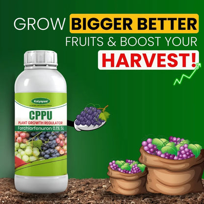 Katyayani CPPU | Forchlorfenuron 0.1 % L | Plant Growth Regulator 
