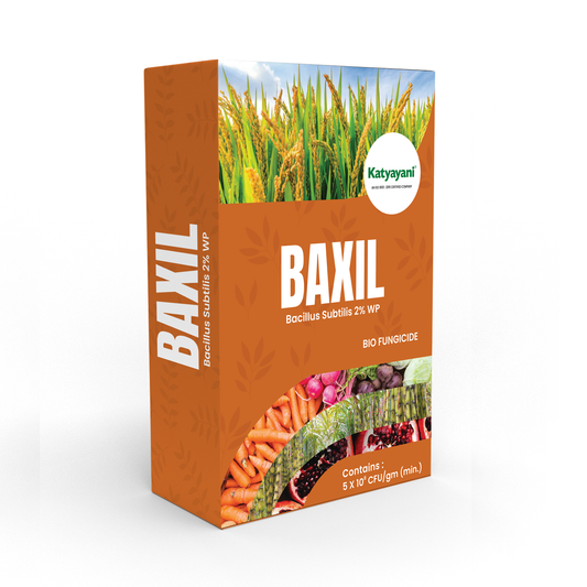 Katyayani Bacillus Subtilis 2% WP | Powder Bio Fungicide 