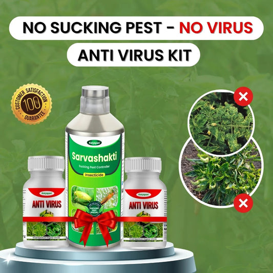 Katyayani Anti Virus Kit (Sarvashakti 250ml + Anti Virus 500ml(250ml x 2) 