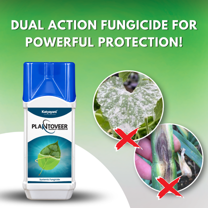 Katyayani PlantoVeer – Tebuconazole 50% + Trifloxystrobin 25% WG Dual-Action Systemic Fungicide