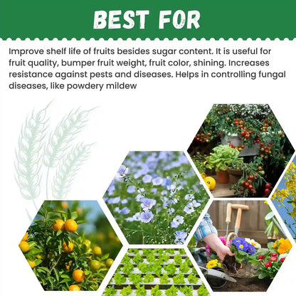 Katyayani NPK 13 00 45 Fertilizer for fruit quality