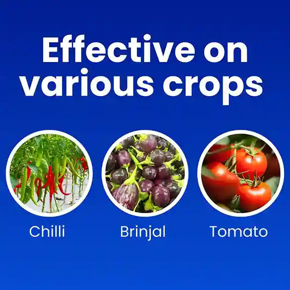 KATYAYANI OZIL (Spiromesifen 22.9% SC) Insecticide for chilli, tomato