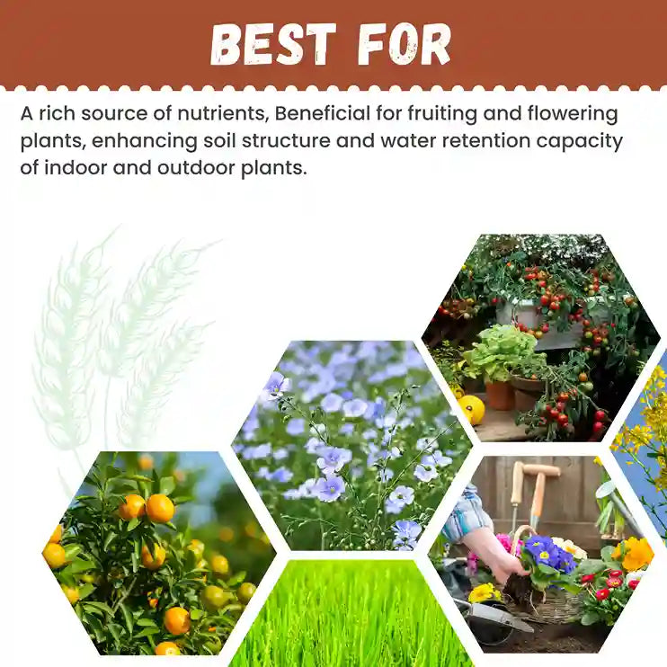 Katyayani Premium Rock Phosphate- (Organic Fertilizer) best for indoor and outdoor